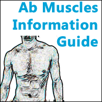 Ab Muscles Information Guide