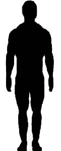 ectomorph