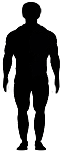 endomorph