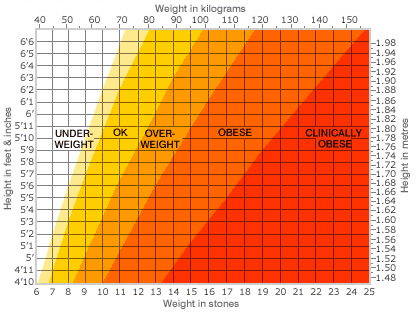 Ideal Female Body Measurements Chart