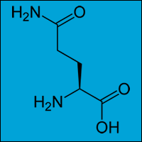 Glutamine