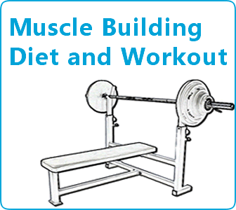 Muscle building diet