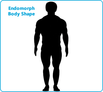 endomorph body shapes real people