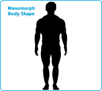 mesomorph body type